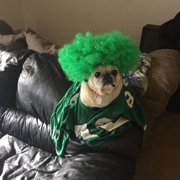 Meet your Posher, Steve - Picture 1 of 1